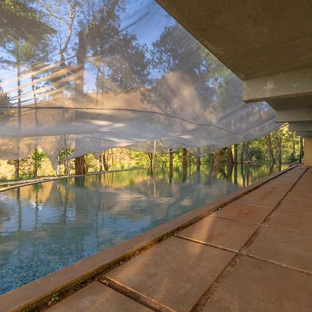 Q Swarga Retreat Hotel Attigundi Exterior photo